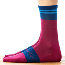 Load image into Gallery viewer, Flight Socks