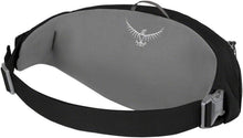 Load image into Gallery viewer, Daylite Waist Pack - One Size, Black
